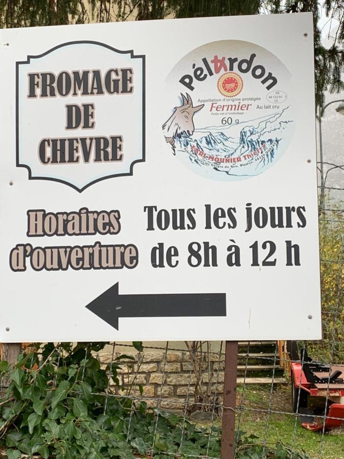 La Voutee 5 Epis Avec Bain Finlandais Prive Au Manoir Du Charme Gorges Du Tarn Quezac (Lozere) Exterior photo